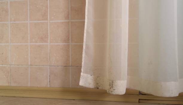 Mold Remediation for Vacation Homes in Brownsville, KY