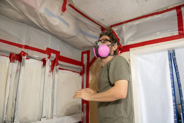 Mold Removal for HVAC Installations in Brownsville, KY