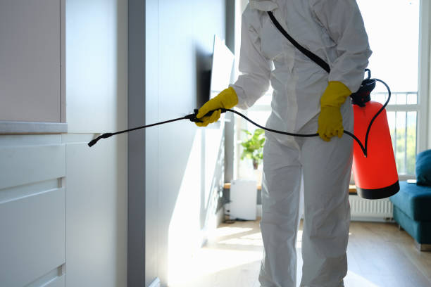Best Comprehensive Air Testing for Mold Contaminants  in Brownsville, KY