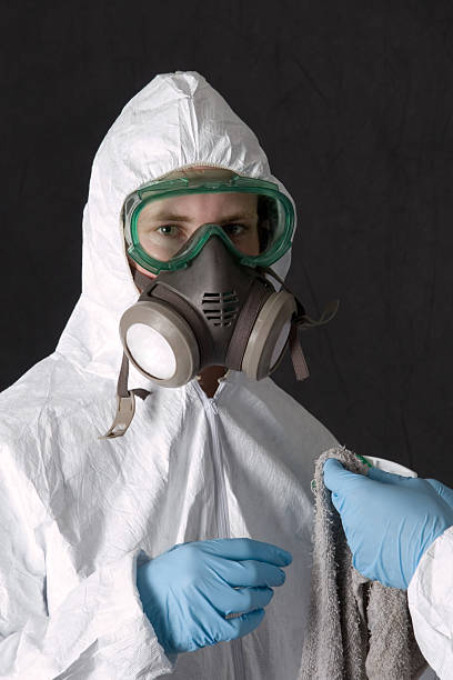  Brownsville, KY Mold Removal Pros